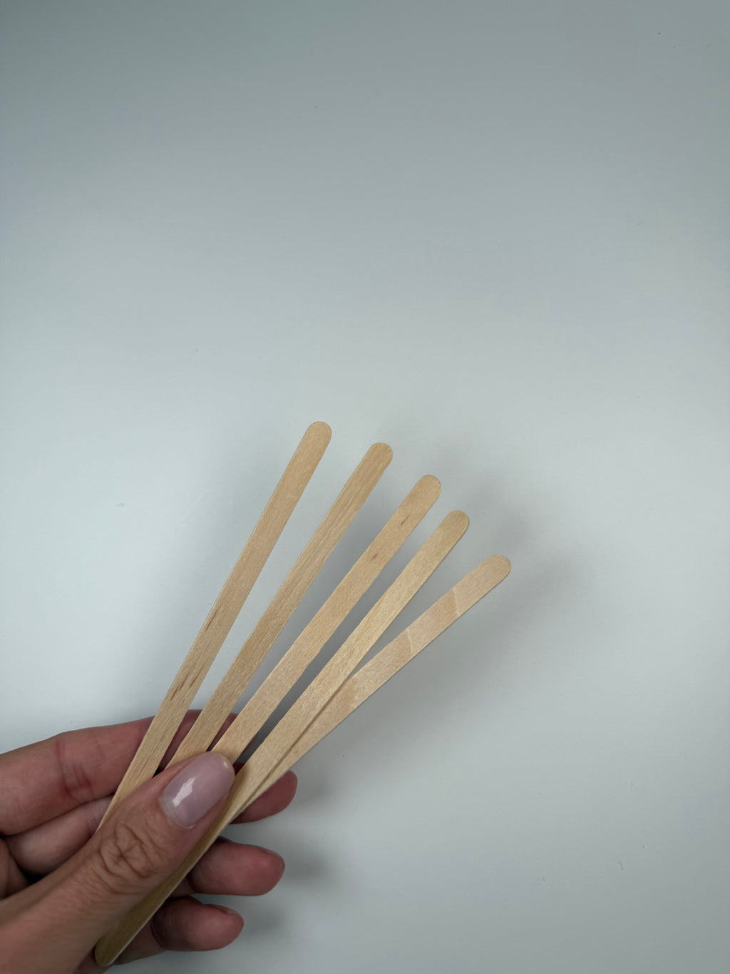 WAX APPLICATOR (50 PACK)